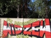 grafitti_widzew_383