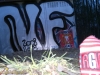 grafitti_widzew_474