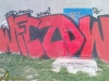 grafitti_widzew_482