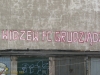 grafitti_widzew_50