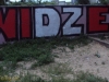 grafitti_widzew_58