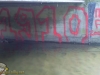 grafitti_widzew_682