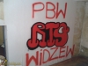 grafitti_widzew_802