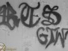 grafitti_widzew_172