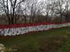 grafitti_widzew_344