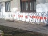 grafitti_widzew_356