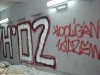 grafitti_widzew_364