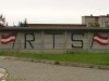 grafitti_widzew_381