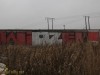 grafitti_widzew_421