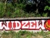 grafitti_widzew_442