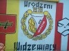 grafitti_widzew_458