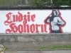 grafitti_widzew_471