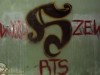 grafitti_widzew_513