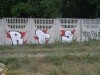 grafitti_widzew_526