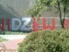 grafitti_widzew_549