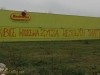 grafitti_widzew_564