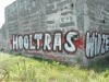 grafitti_widzew_648