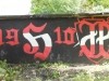 grafitti_widzew_673