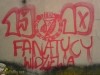 grafitti_widzew_787