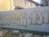 grafitti_widzew_788