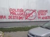 grafitti_widzew_913