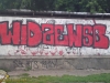 grafitti_widzew_374