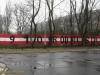 grafitti_widzew_396