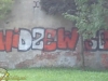 grafitti_widzew_432