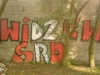 grafitti_widzew_44