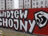 grafitti_widzew_463