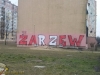 grafitti_widzew_697