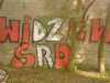 grafitti_widzew_698