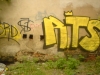 grafitti_widzew_703