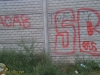 grafitti_widzew_726