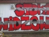 grafitti_widzew_739