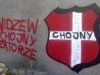 grafitti_widzew_783