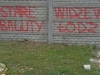 grafitti_widzew_797