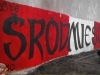 grafitti_widzew_831