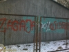 grafitti_widzew_872