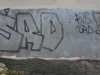 grafitti_widzew_880